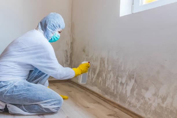 Bathroom Mold Removal assessment in Stanwood bathroom